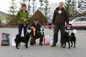 BIR Børvelia`s Laika og BIM Vossasvartens Draco , Kvinnherad 2015