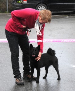 Børvelias Leo , Ingeborg Øyna, Kvinnherad 2015 