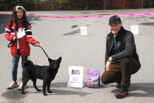 BIS Kvalp Børvelias Roxy, Handler Sara Hermansen, Eier Gunnar Hermansen