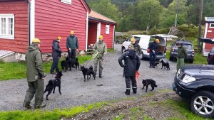 Sporhelg Lundarstøl Stord 2015