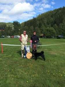 Frøya av hjortehaugen. BIR OG BIS i Morgedal